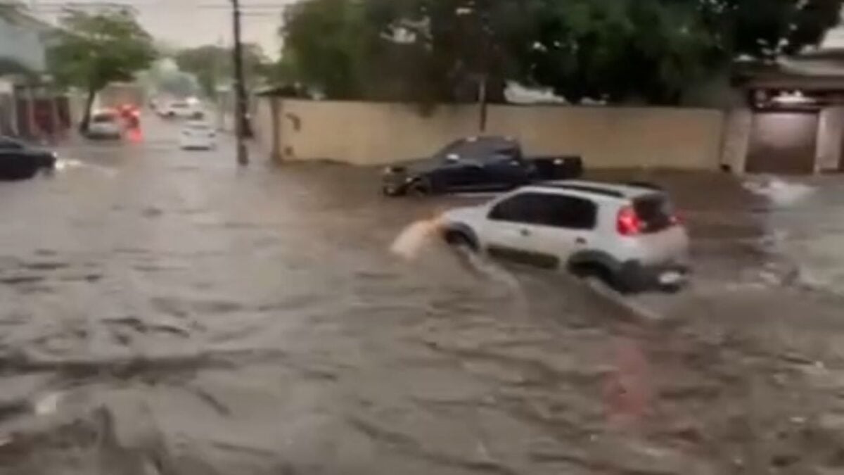 Forte chuva em Goiânia causa alagamentos, transbordo de córrego, queda de árvores e deixa motoristas ilhados